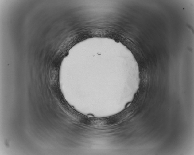 X0000102260511200808221418