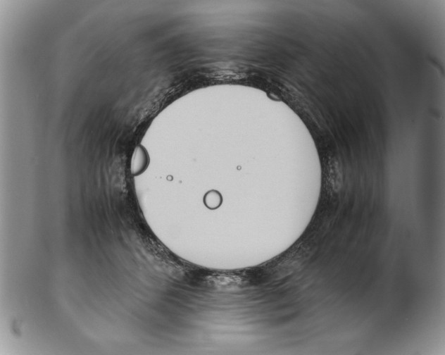 X0000102260512200808221418