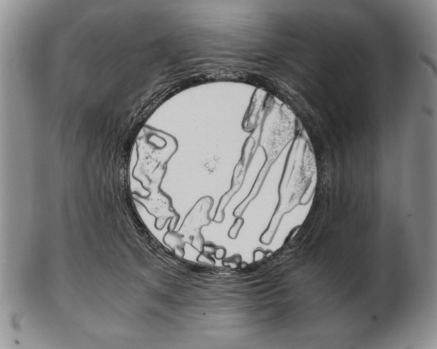X0000102260513200808221418