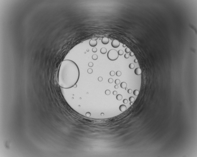 X0000102260515200808221418