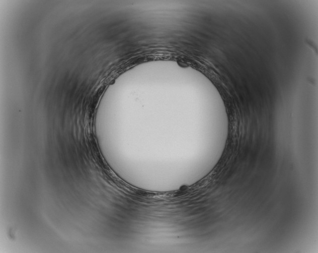 X0000102260516200808221418