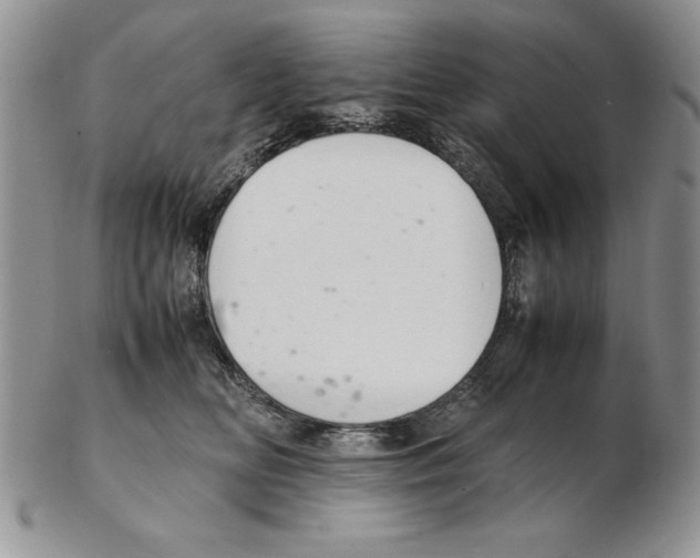 X0000102260518200808221418