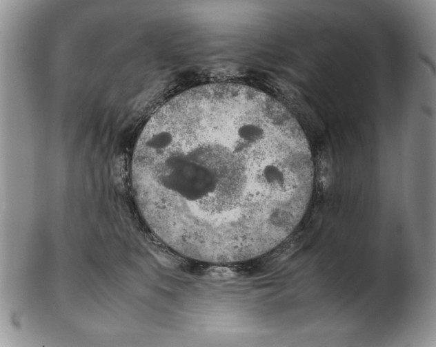 X0000102260519200808221418