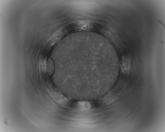 X0000102260520200808221418