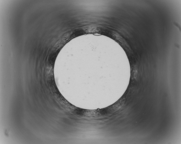 X0000102260521200808221418