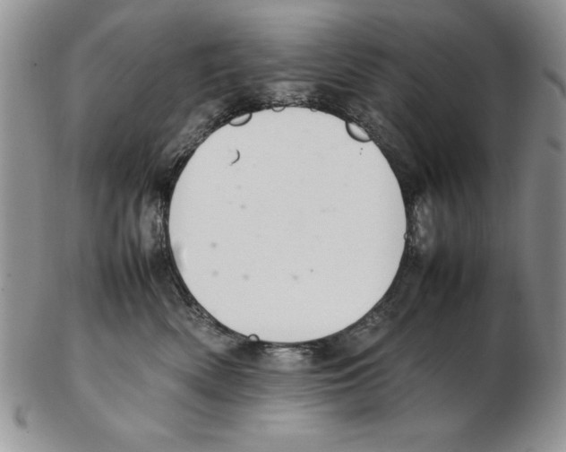 X0000102260522200808221418