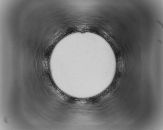 X0000102260523200808221418