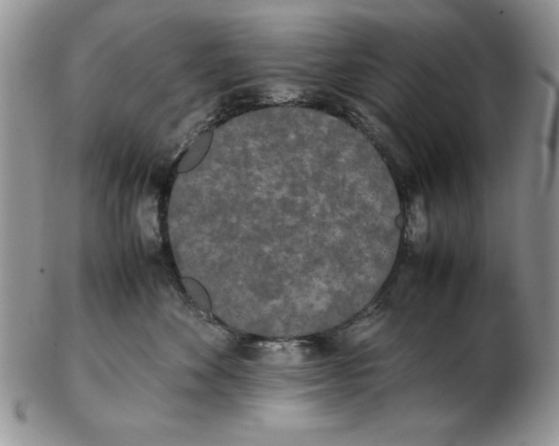 X0000102260524200808221418