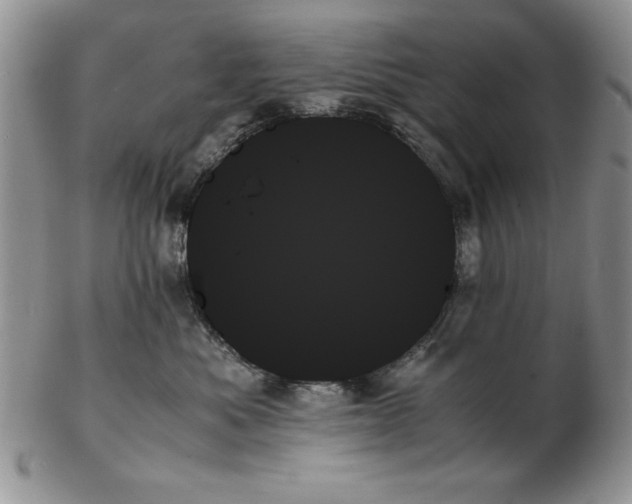 X0000102260525200808221418