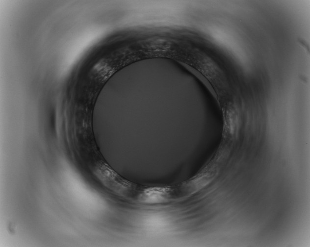 X0000102260526200808221418