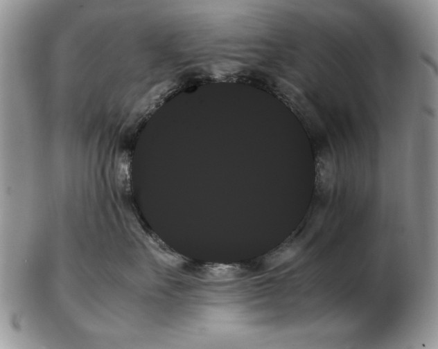 X0000102260527200808221418