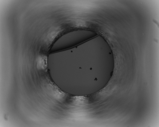 X0000102260528200808221418