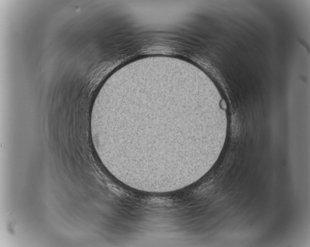 X0000102260529200808221417
