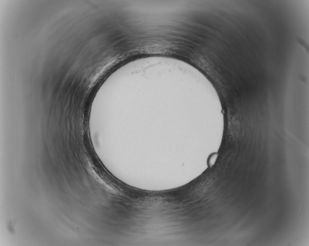 X0000102260530200808221417