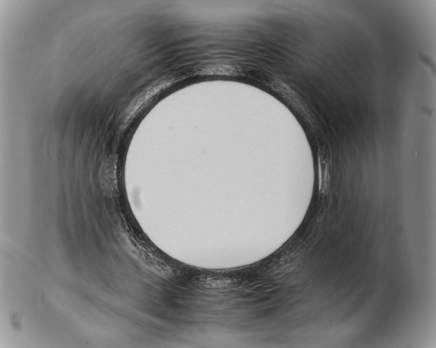 X0000102260531200808221417