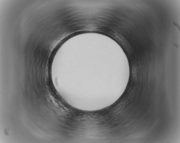 X0000102260532200808221417