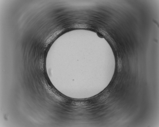 X0000102260533200808221417