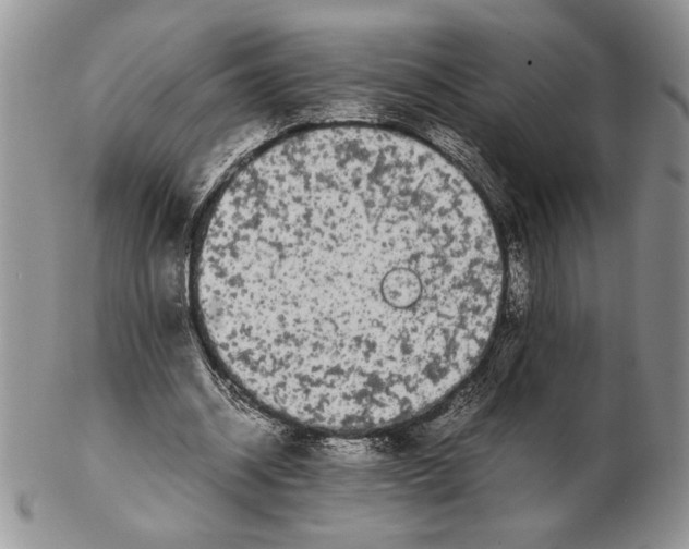X0000102260534200808221417