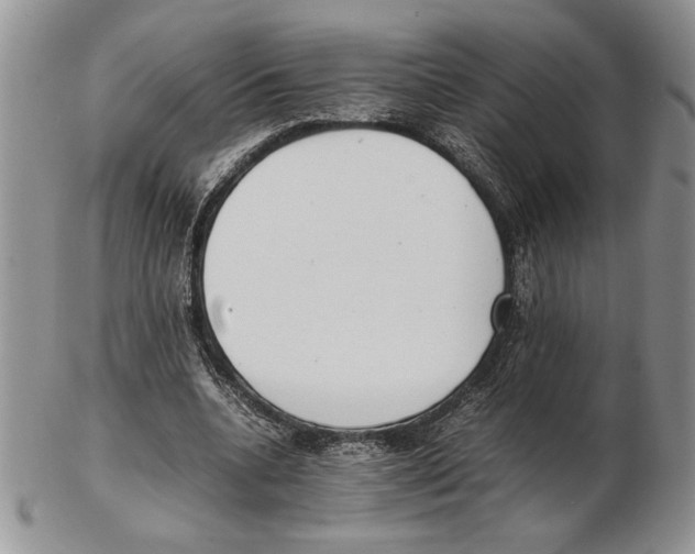 X0000102260536200808221417