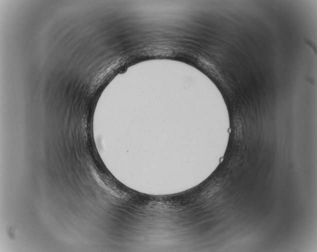 X0000102260538200808221417