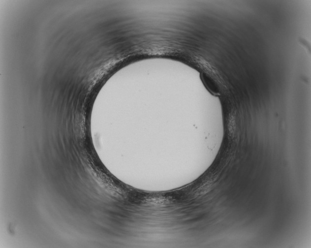 X0000102260540200808221417