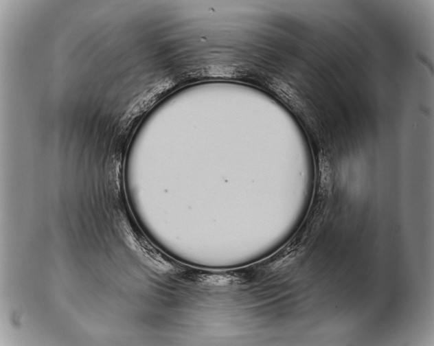 X0000102260542200808221417