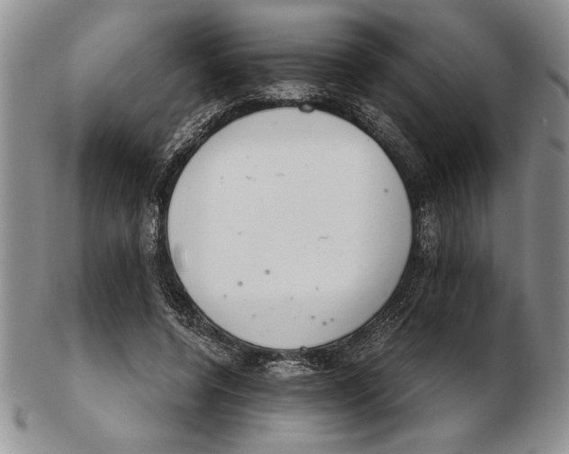 X0000102260544200808221417