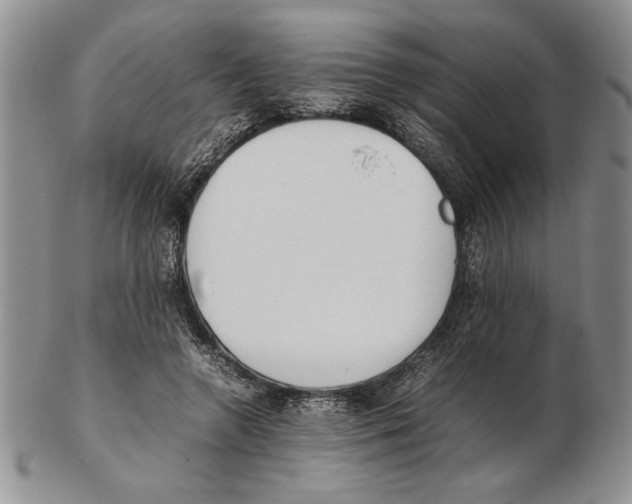 X0000102260546200808221417