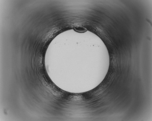 X0000102260548200808221417