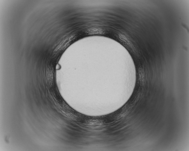 X0000102260549200808221417