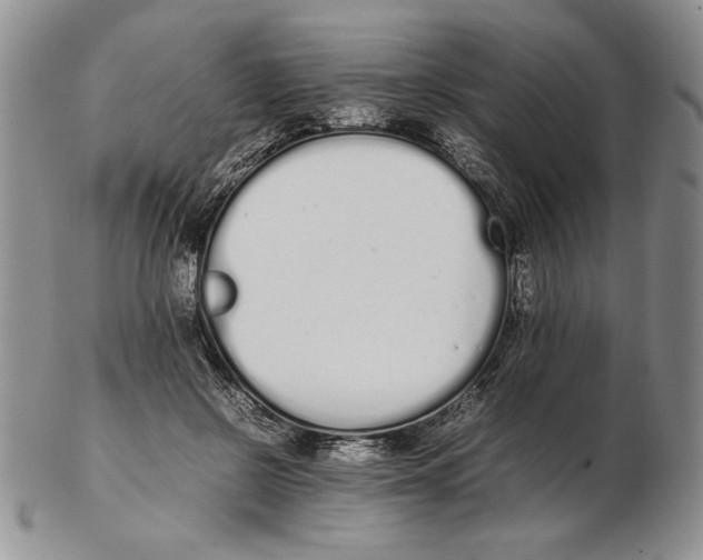 X0000102260550200808221417