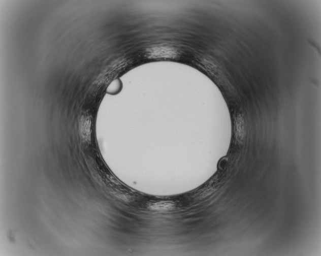 X0000102260551200808221417