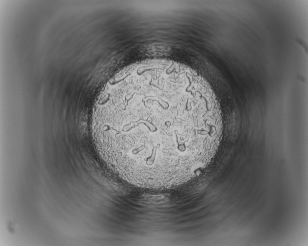X0000102260553200808221417