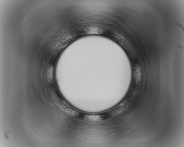 X0000102260554200808221417
