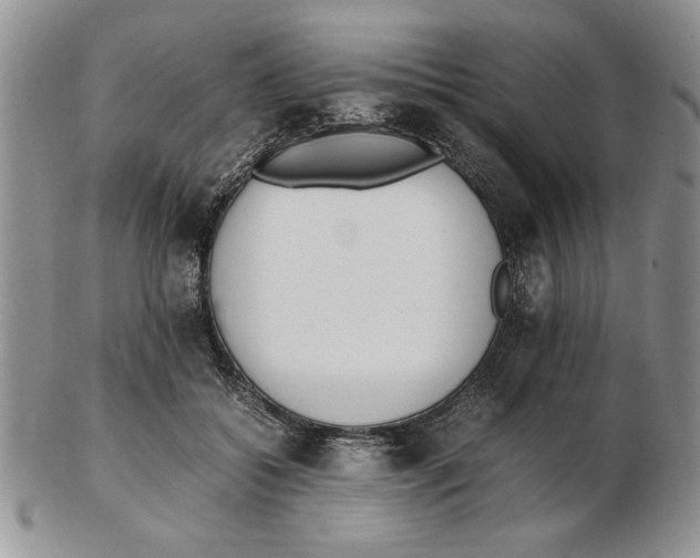 X0000102260556200808221417