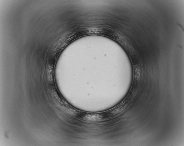 X0000102260557200808221417