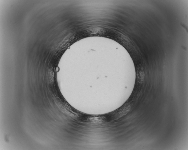 X0000102260558200808221417