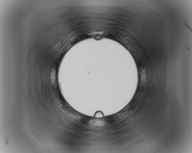 X0000102260559200808221417