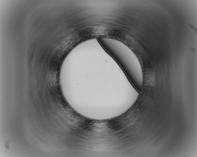 X0000102260560200808221417