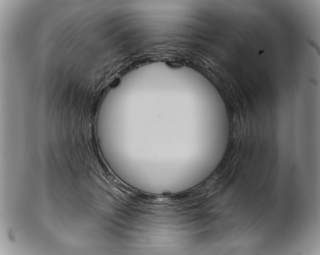 X0000102260562200808221417