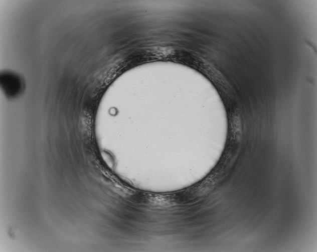 X0000102260565200808221418