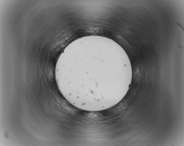 X0000102260566200808221418