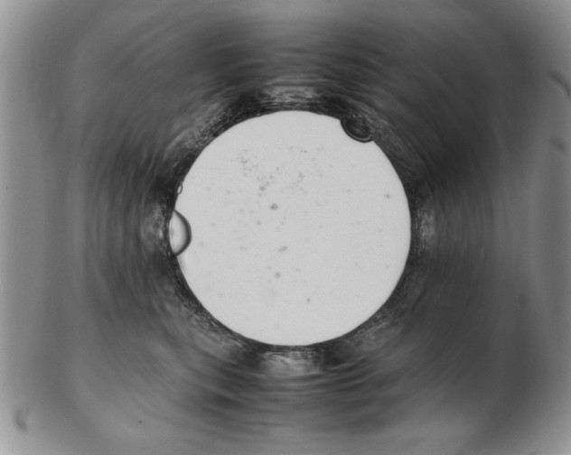 X0000102260567200808221418