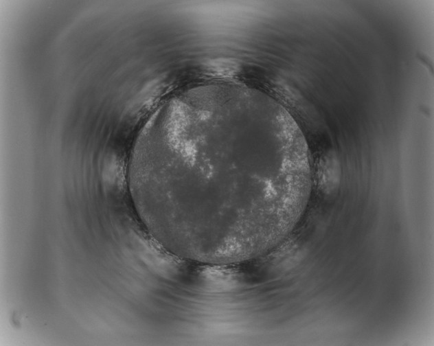 X0000102260568200808221418