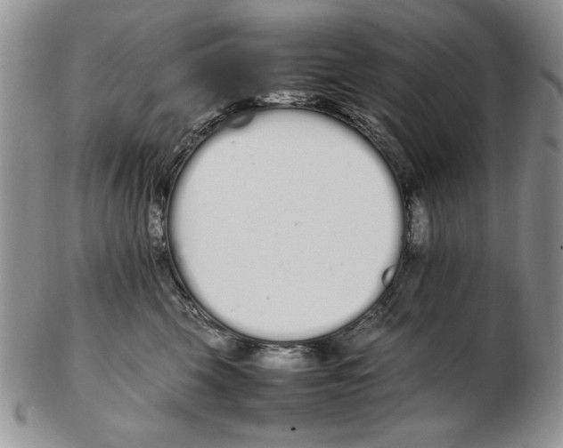 X0000102260569200808221418