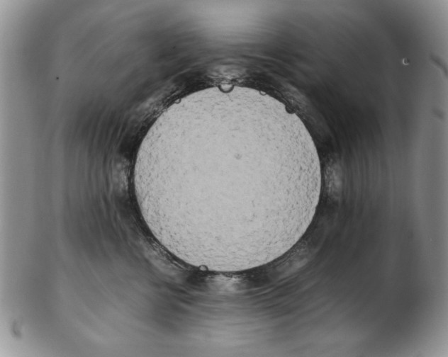 X0000102260570200808221418