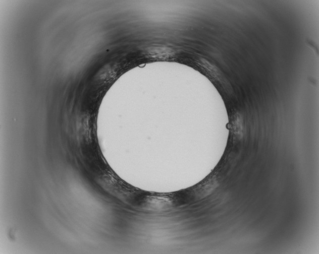 X0000102260572200808221418