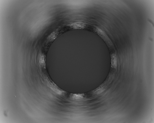 X0000102260573200808221418