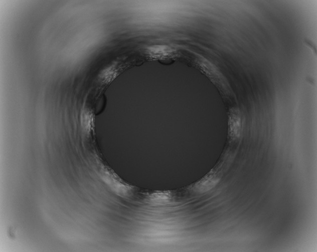 X0000102260574200808221418