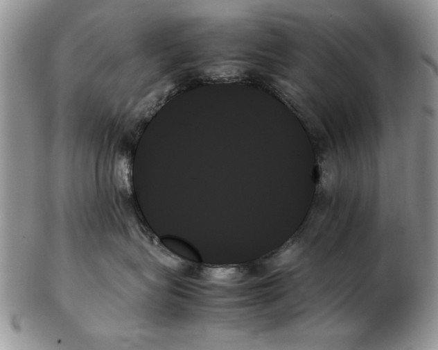X0000102260575200808221418